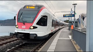 Bahnverkehr in Walchwil Hörndli (19.12.2024)