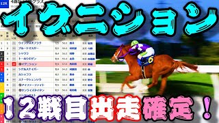 【一口馬主】イグニション、12戦目出走確定！-追い切りの動きは上々、園田で得た自信を糧にいざ中央再転入緒戦へ-【ノルマンディーOC】