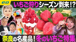 【生配信】特集は関西の一大産地・奈良で #いちご狩り！中継は Feedy Diner\u0026Arcade 茨木店【ナジャ・グランディーバのチマタのハテナ】