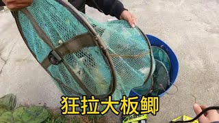 水库狂拉大板鲫，这个体拉着太过瘾了，回到家却被老婆赶出家门！