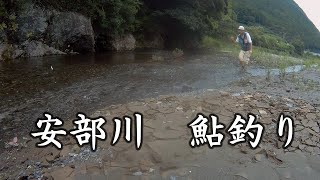 安部川　鮎釣り。平野