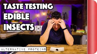 Taste Testing Edible Bugs & Insects | Alternative Proteins | Sorted Food