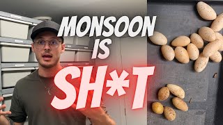 Monsoon is S**T!! Perspective on the project
