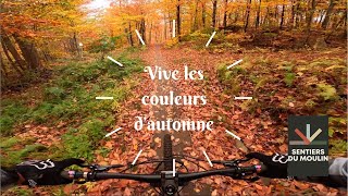 Une journée sous les feuilles à SDM