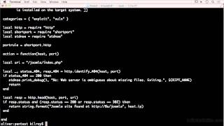 03 05 Hacking and Penetration - Web Testing With NMAP