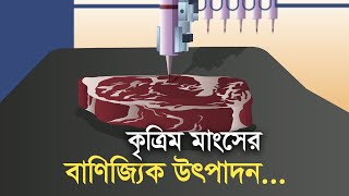 কৃত্রিম মাংসের বাণিজ্যিক উৎপাদন | Bangla Business News | Business Report 2022