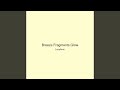 Breeze Fragments Glow