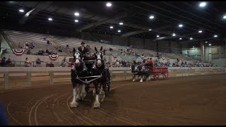 Michigan’s Largest Horse Show Returns to East Lansing