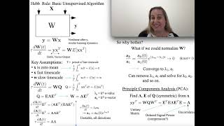 Basics of Unsupervised Learning from Hebb's rule