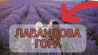 Лавандова гора в Закарпатті. Це має побачити кожен!!!