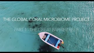 The Global Coral Microbiome Project, Part 1 - Australia