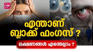 എന്താണ് ബ്ലാക് ഫം​ഗസ് ? അറിയേണ്ടതെല്ലാം.... | what is black fungus | black fungus Malayalam