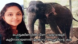 പൊട്ടക്കിണറ്റിൽ വീണ ഗുരുവായൂർ കുട്ടിനാരായണൻ ഏഷ്യാഡ് അപ്പു | Guruvayur elephants