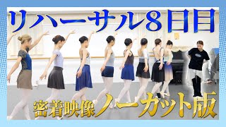 【未公開】お互いを評価し合ったリハーサルの全貌を大公開します！【白鳥の湖公演】