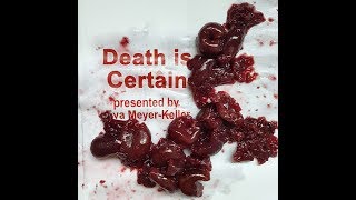 Death is Certain - Warwick Arts Centre