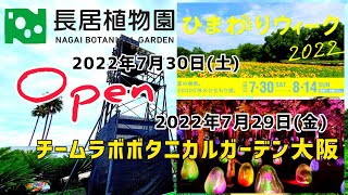 大阪のイベント【チームラボ ボタニカル ガーデン大阪】長居公園 長居植物園で開催2022年7月29日(金)【ひまわりウィーク】30日(土)から開催します。GoProHERO撮影2022年