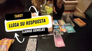 GRANDES NOVEDADES A ESTA CONEXION📲LLEGA LA RESPUESTA TAN ESPERADA🔮 TAROT TWINFLAMES