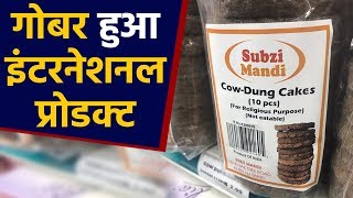 Cow का गोबर हुआ International,  America में 214 रुपयों में बिक रहे हैं 10 उपले । वनइंडिया हिंदी