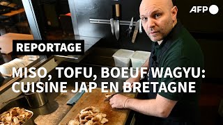 Miso, tofu, boeuf wagyu: en Bretagne, une gastronomie japonaise 100% locale | AFP