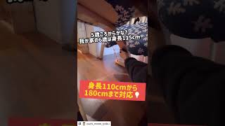 【背筋ピン！】正しい姿勢が身につく椅子 バランスイージー動画 #shorts