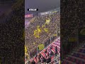 dortmunder fans in bologna fc bologna borussia dortmund bolbvb bvb bologna dortmund bvb09