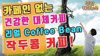 【커피TV】 7월 다섯째 주 주간커피뉴스