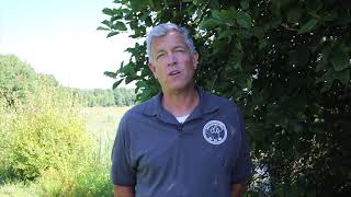 Minsi Lake ADA Floating Docks and Accessible Kayak Launch