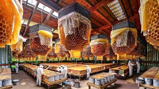 How Raise Billions of Bees and Harvest Millions Tons Royal Jelly and Butter – Processing Royal Jelly