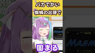 くしゃみしてたらバカデカい蜘蛛が出て思わず２度見【切り抜きVTuber】【くしゃみ】【切り抜き】 #Shorts