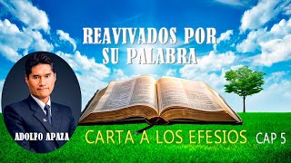 Efesios 05 Reavivados Por Su Palabra