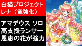 【白猫プロジェクト】レナ性能紹介、アマデウスをソロ攻略（ゲーム実況）