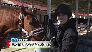 ウィークリー千葉県「馬と触れ合う新たな楽しみ」R6/11/30