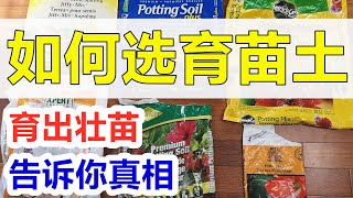 育苗成功的关键, 如何选育苗土？苗又大又壮的方法