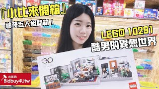 [小比來開箱] LEGO 10291 酷男的異想世界