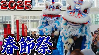 Chinese New Year 横浜春節祭2025 オープニング Lion Dance Yokohama City Hall【4K】