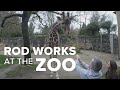 Rod on the Job: Zookeeper at the Oregon Zoo