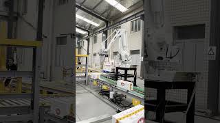 Robotic Palletizing System Entry-Level Robot Palletizer end of  case packing line #roboticpalletizer