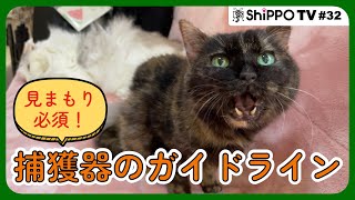 野良猫・外にいる猫を保護するために　捕獲器のガイドライン【ShippoTV 保護猫情報番組vol.32】