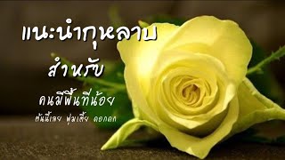 แนะนำกุหลาบ | สำหรับคนมีพื้นที่จำกัด | EP.283 | พุ่มเตี้ยดอกดก