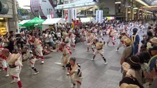 2016年[4K] 國士舞双 ｢2016よさこい全国大会･帯屋町」