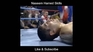 Naseem Hamed Skills