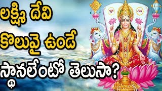 లక్ష్మి దేవి కొలువై ఉండే స్థానలేంటో తెలుసా? | Where Lakshmi Devi Is Located?