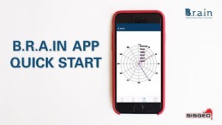 Sisgeo B.R.A.IN APP Quick Start