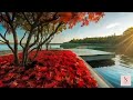 the beautiful music among september maples piano violin autumn melodies