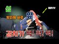 방파제 바로 앞, 갈치가 퍽! 퍽! 퍽! ( 섬 탐사 1/2일차 )