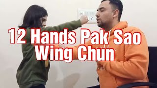 12 hands Pak Sao | Wing Chun #nitara #martialgirl #wingchun #jkd