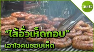 เปิดเมนูเด็ดเมนูใหม่ ไส้อั่วเห็ดถอบ เอาใจคนชอบเห็ด | 26-05-62 | ตะลอนข่าว