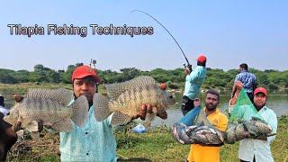 How to Catch Tilapia Fish | Fishing Tilapia in River | Tilapia Fishing Techniques Abs Fishing Videos