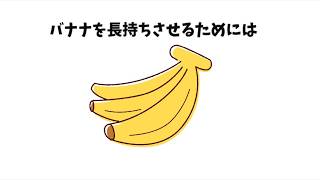 【雑学】9割の人が知らない面白い雑学「コーヒーフィルター」