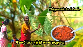 வேலிப்பருத்தி காய் குழம்பு  l velipparutthi kai kulambu l velipparutthi l traditional cooking